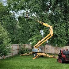 Best Stump Grinding and Removal  in Elliston, VA