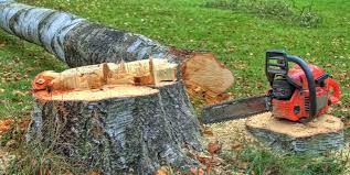 Best Tree Mulching  in Elliston, VA