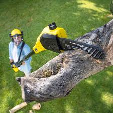 Best Soil Testing and Treatment  in Elliston, VA