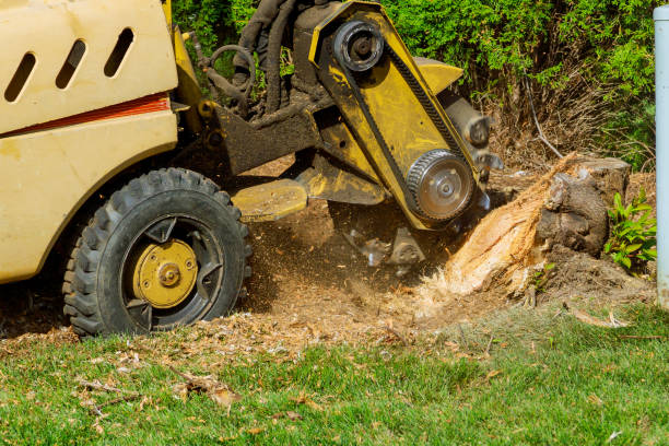 Best Landscape Design and Installation  in Elliston, VA