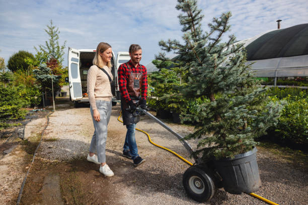 Best Storm Damage Tree Cleanup  in Elliston, VA