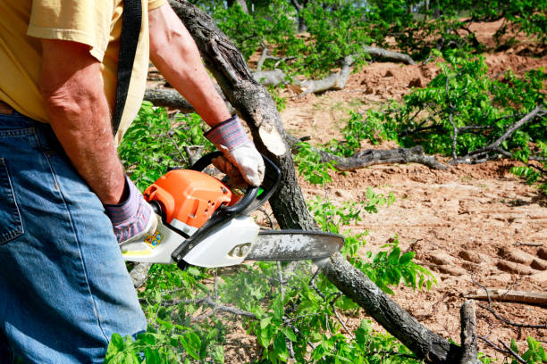 Best Firewood Processing and Delivery  in Elliston, VA
